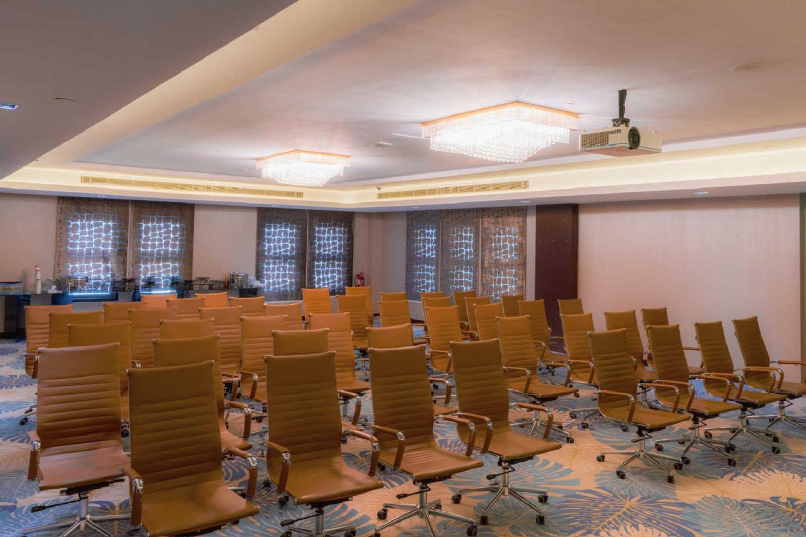 A room in theatre rows with gilded chairs