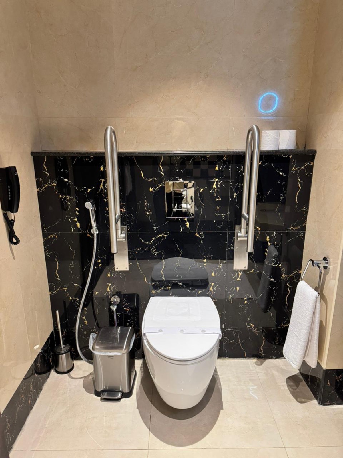 The wall-hung WC between two fold-down grab rails, with an emergency handset alongside